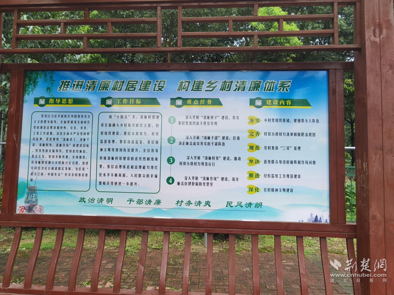 图片17.png.png