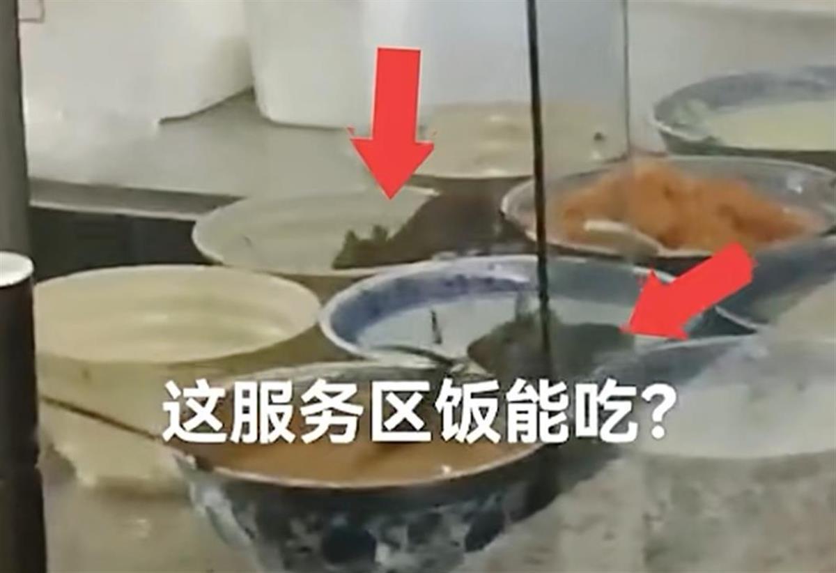 世博区惊现大波僵尸_好望角茅膏菜怎么移盆_服务区菜盆惊现老鼠