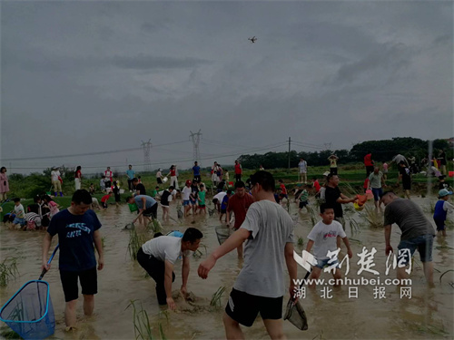 1108.jpg