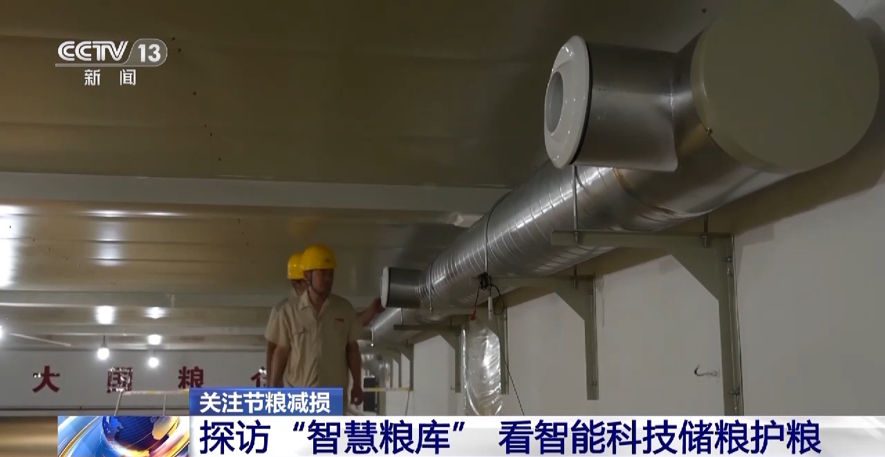 如何实现粮食持续增产_爱粮节粮传承美德_节粮减损进行时