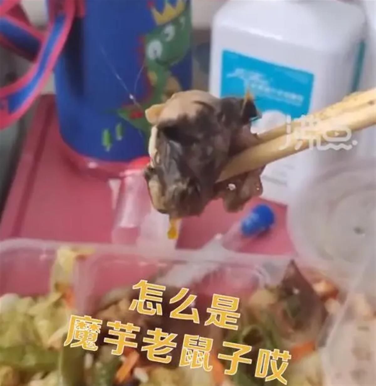 好望角茅膏菜怎么移盆_服务区菜盆惊现老鼠_世博区惊现大波僵尸