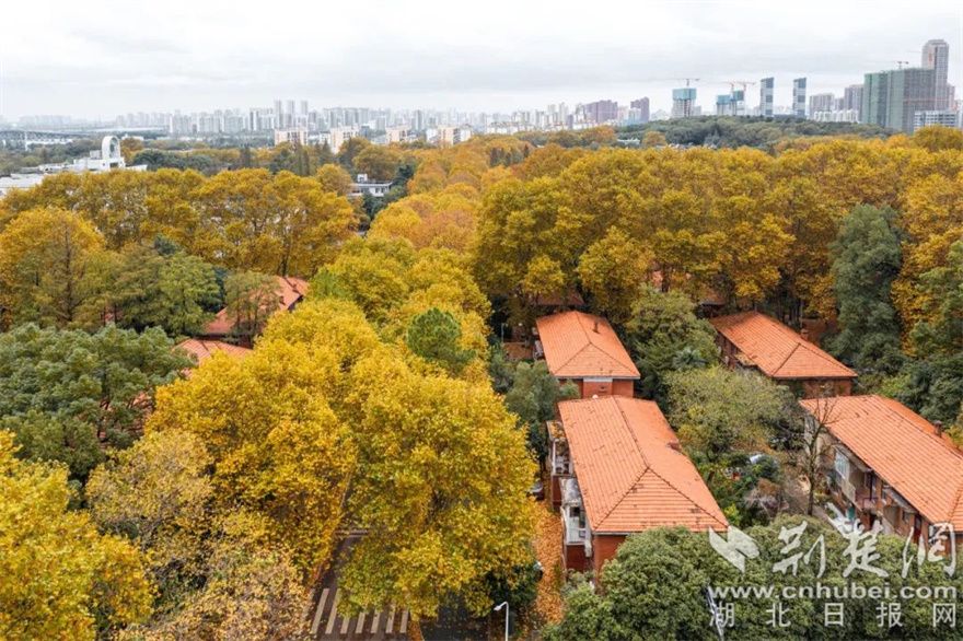 洪山区诚挚欢迎大学生来到洪山留在洪山！.jpg.jpg