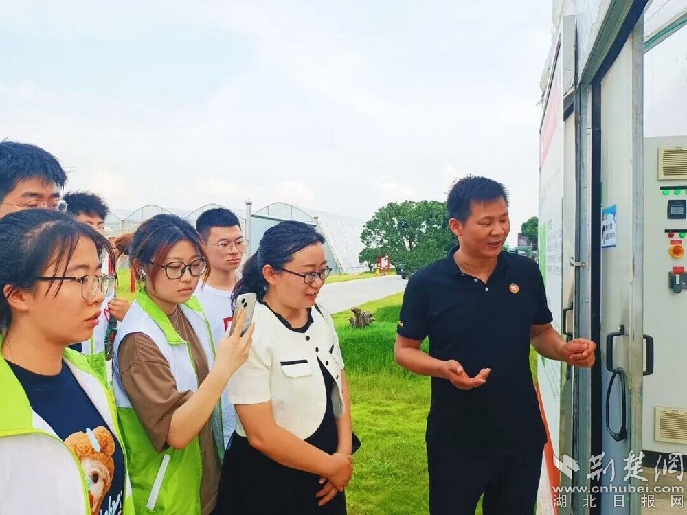 图为大学生志愿者们参观学习番茄公社 照片来源：应城市团市委.jpg