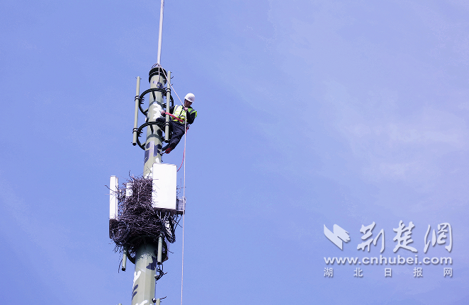 信号满格！中国电信在武汉开展5G网络死角盲区专项整治
