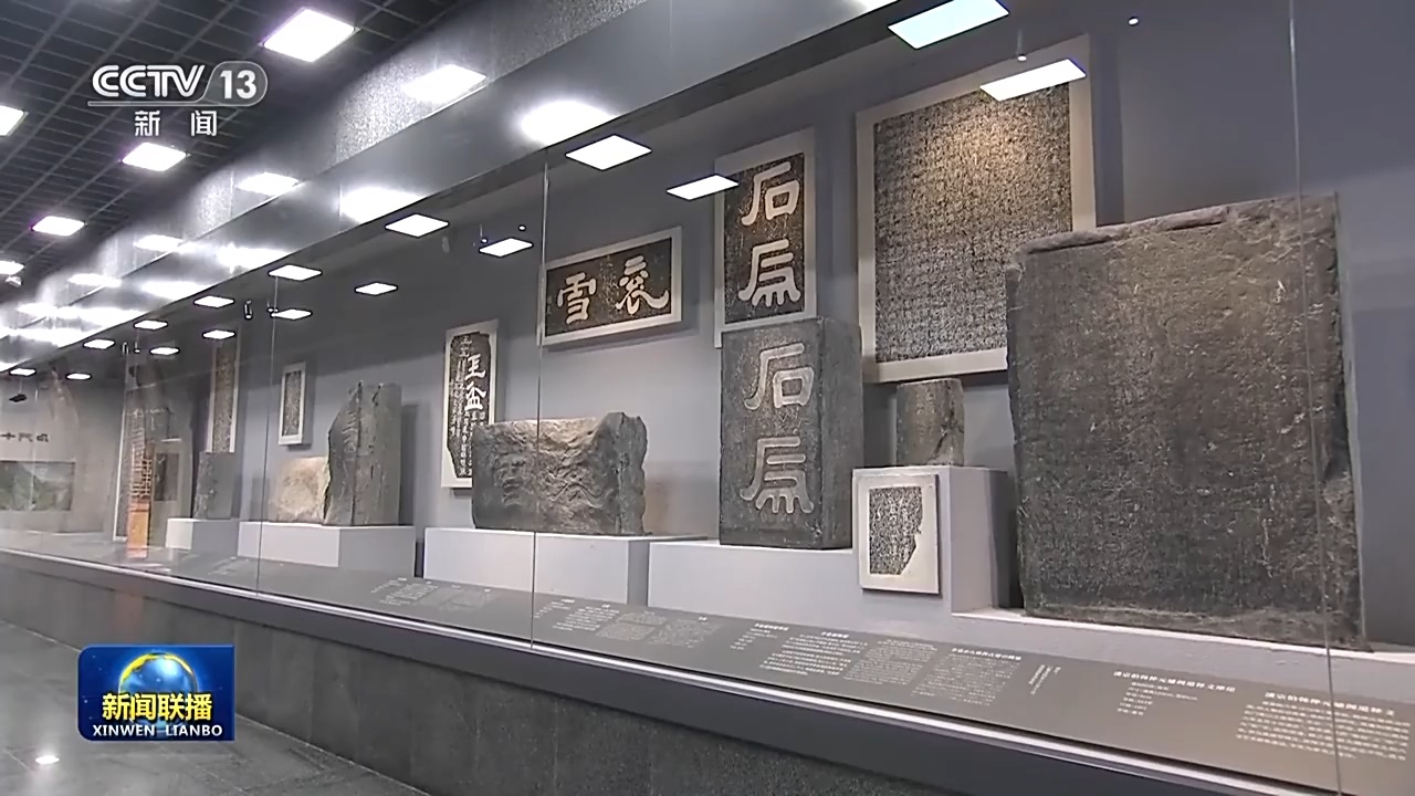 “把古树名木保护好,把中华优秀传统文化传承好” 牢记总书记嘱托 巩固发展新时代生态文明建设成果-荆楚网-湖北日报网