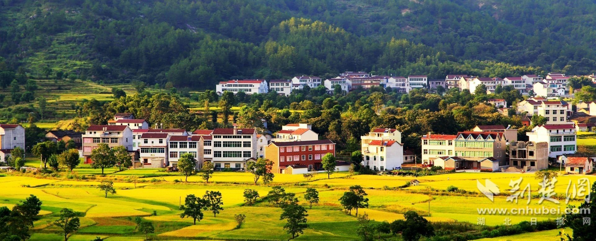 麻城黄市坳村.jpg.jpg