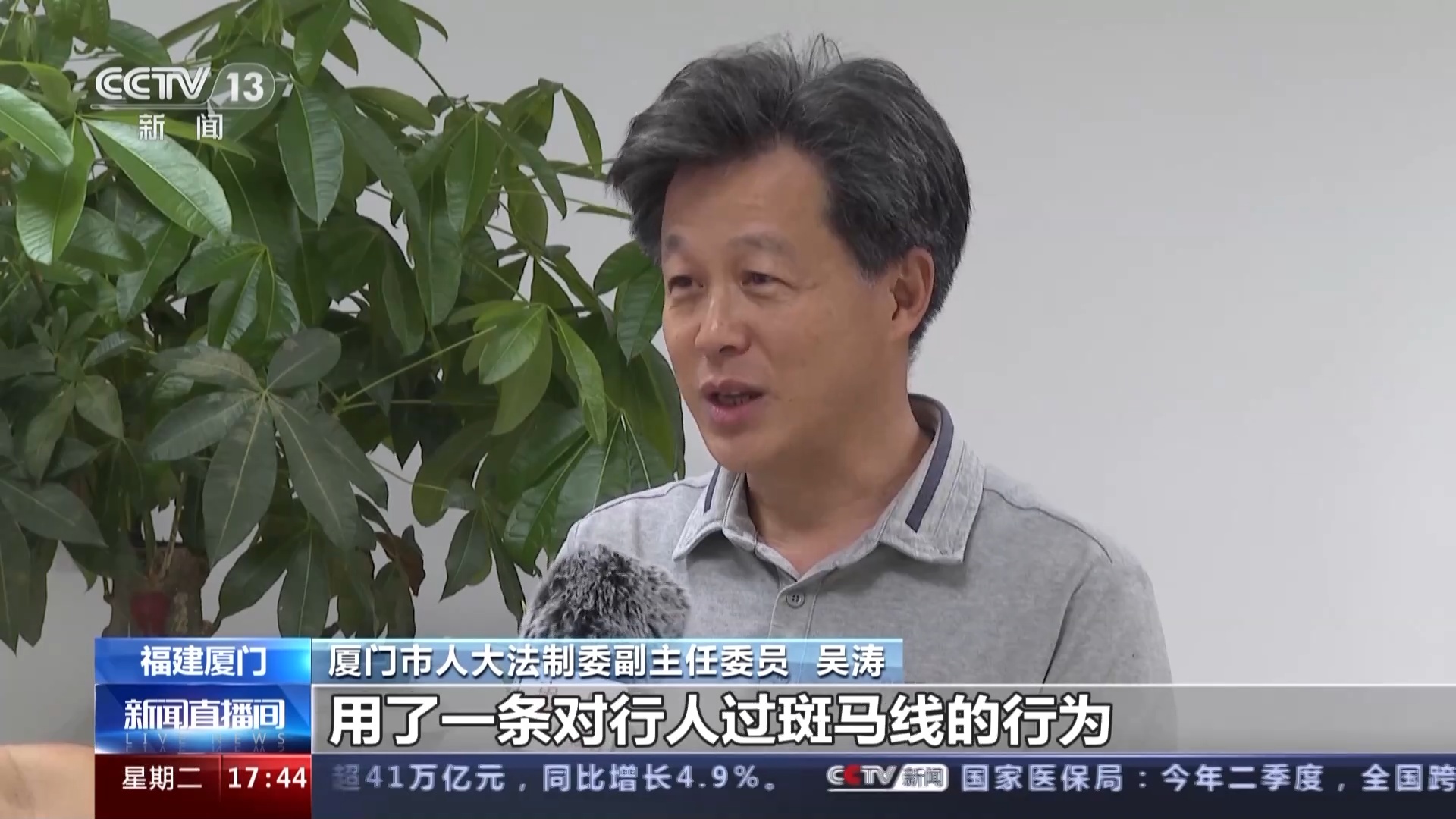 边刷手机边过斑马线或被罚款 福建厦门新规今起实施