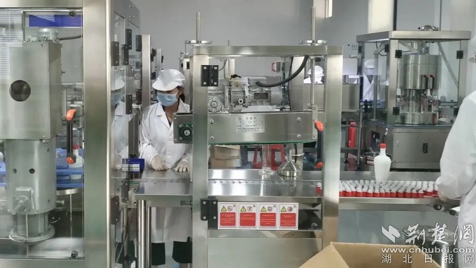 b35b36a5865f82b8984a89c43bccf8b4_979X551_20230804165946