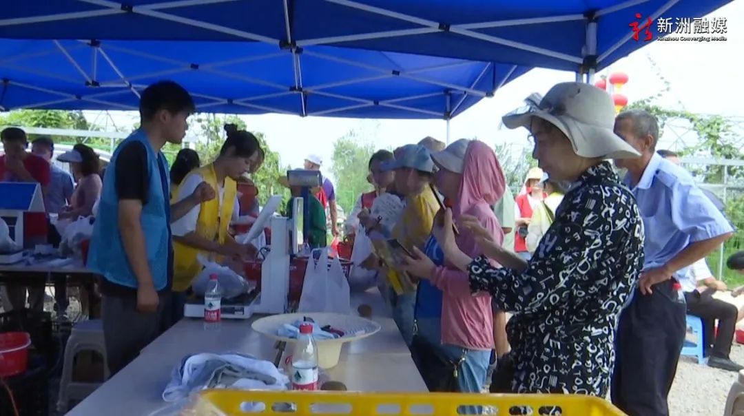奇异果体育新洲区涨渡湖街首届猕猴桃节在朴甜·生活田园开幕(图5)