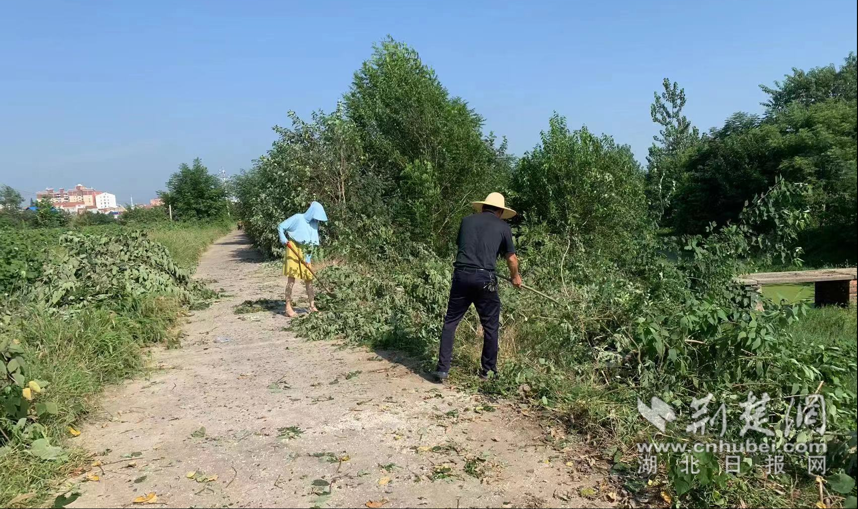 清障除杂忙不停 全力抗旱保民生.png.png