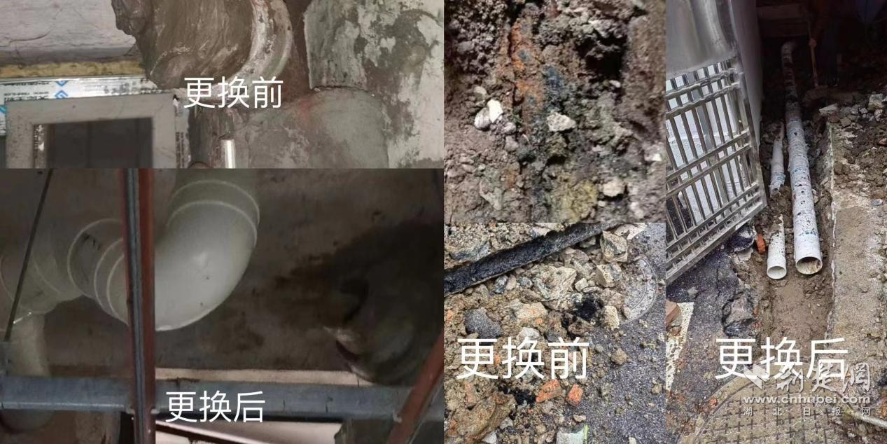 图片3.png.png
