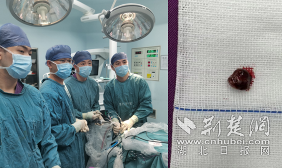微信截图_20230910094547_副本.png.png