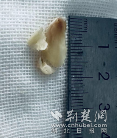 微信截图_20230905084632_副本.png.png