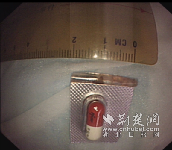 3_副本.png.png