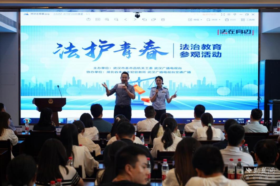 图片2_副本.png.png
