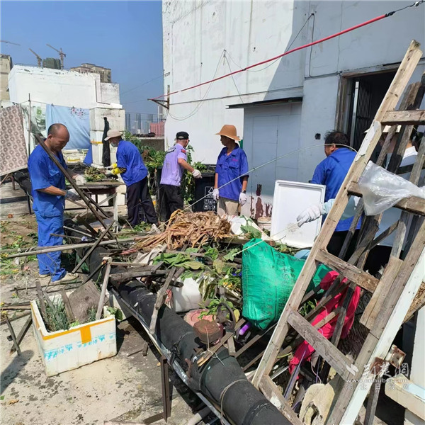 志愿者们忙碌清理屋顶垃圾.jpg