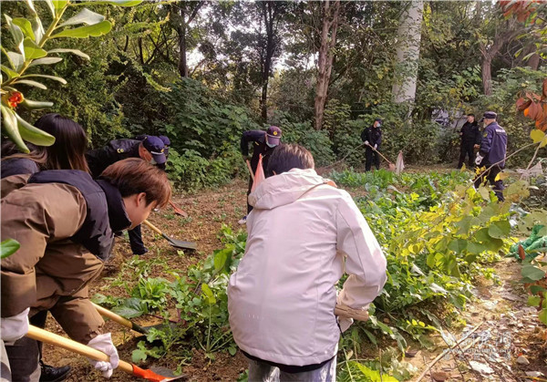 执法人员和大学生志愿者一起铲除菜地.jpg