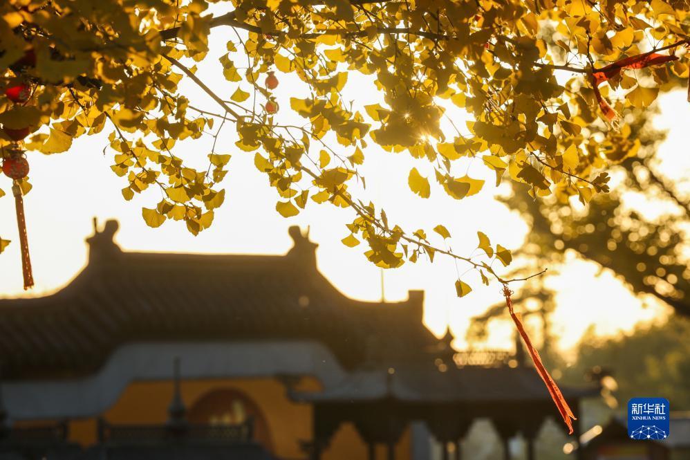 浙江的市有哪些 738bb77669704c35e6bbab252ee5d8dd.jpeg