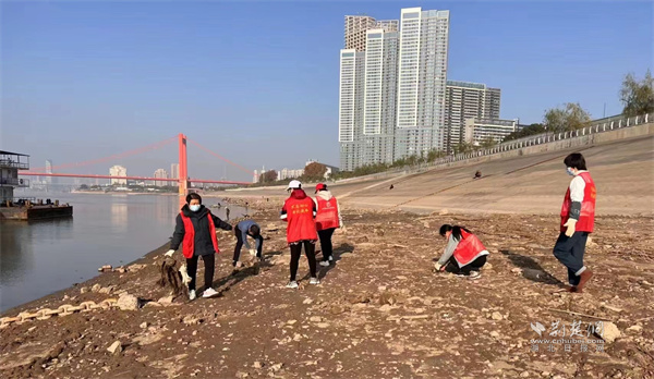 下沉党员和居民正在清理江滩的杂物垃圾.jpg