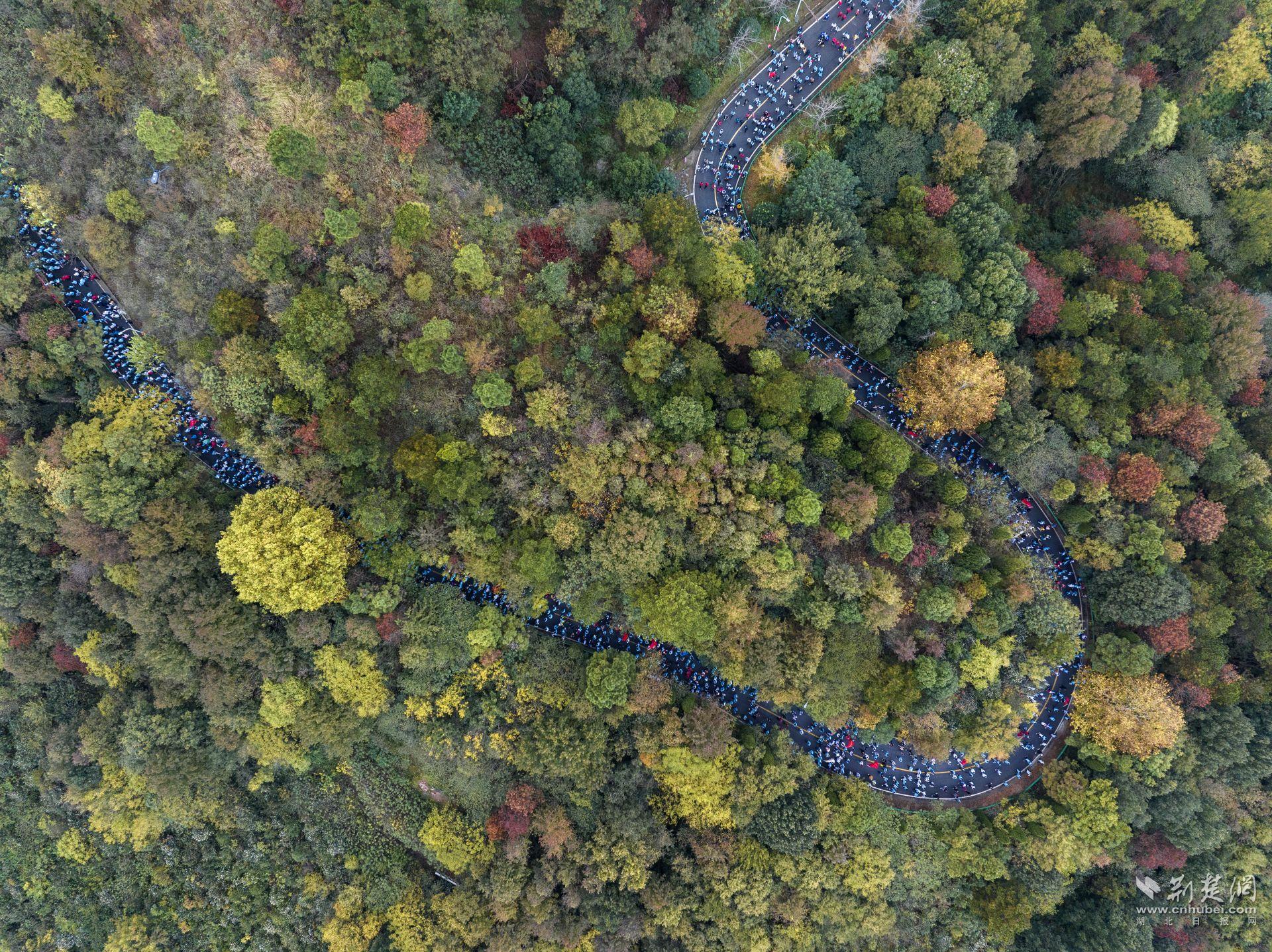 DJI_20231104092757_0522_D.jpg.jpg