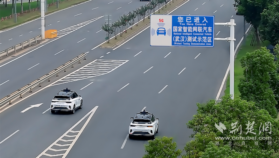 图片50.png.png