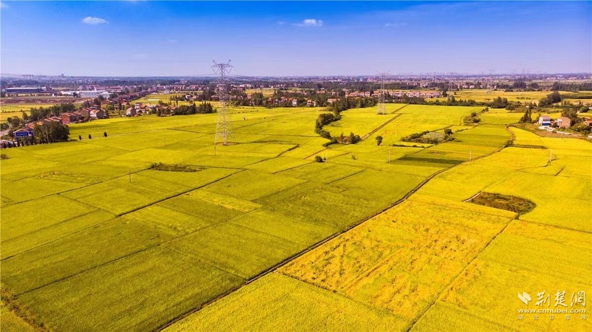 5222e14e91924d58a94a8b6d9410318c_1200X673_20231207102503