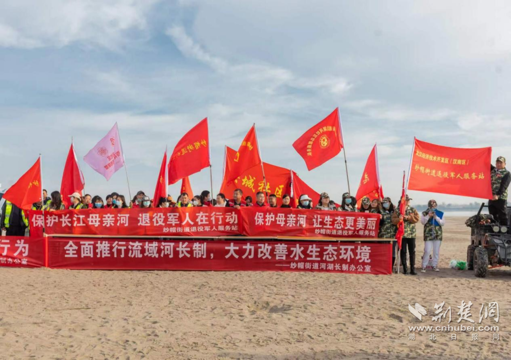图片13.png.png
