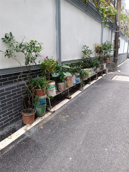 工程营小区环境改变1.jpg