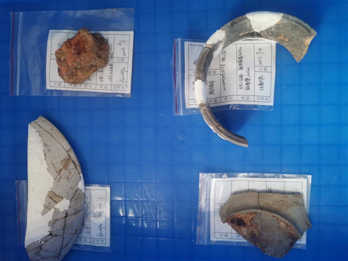 屈家岭遗址多个“之最”为探讨中华文明起源提供关键样本荆楚网湖北日报网