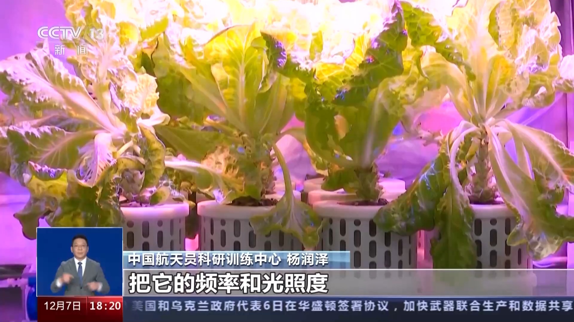 一问到底丨“太空菜园”迎丰收 “天宫”种菜如何实现？-荆楚网-湖北日报网