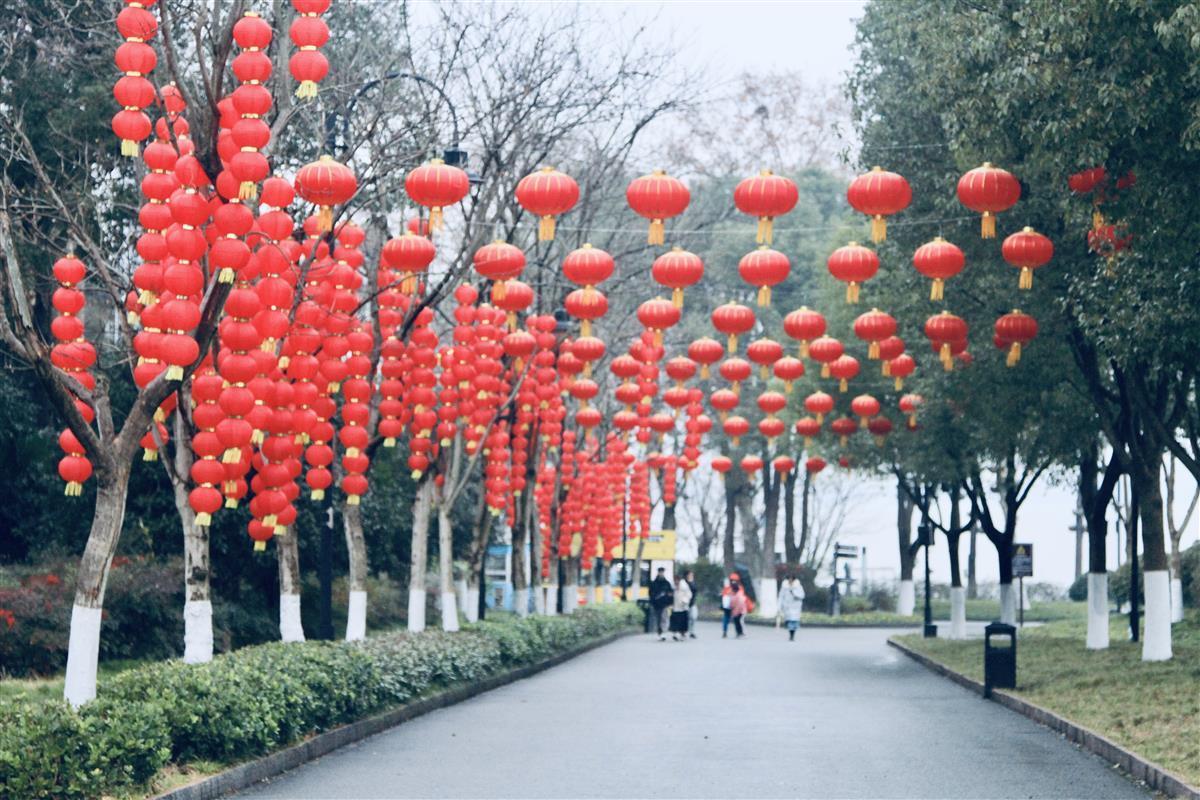 武汉东湖梅园升级蝶变，名字带“梅”的游客可免费入园