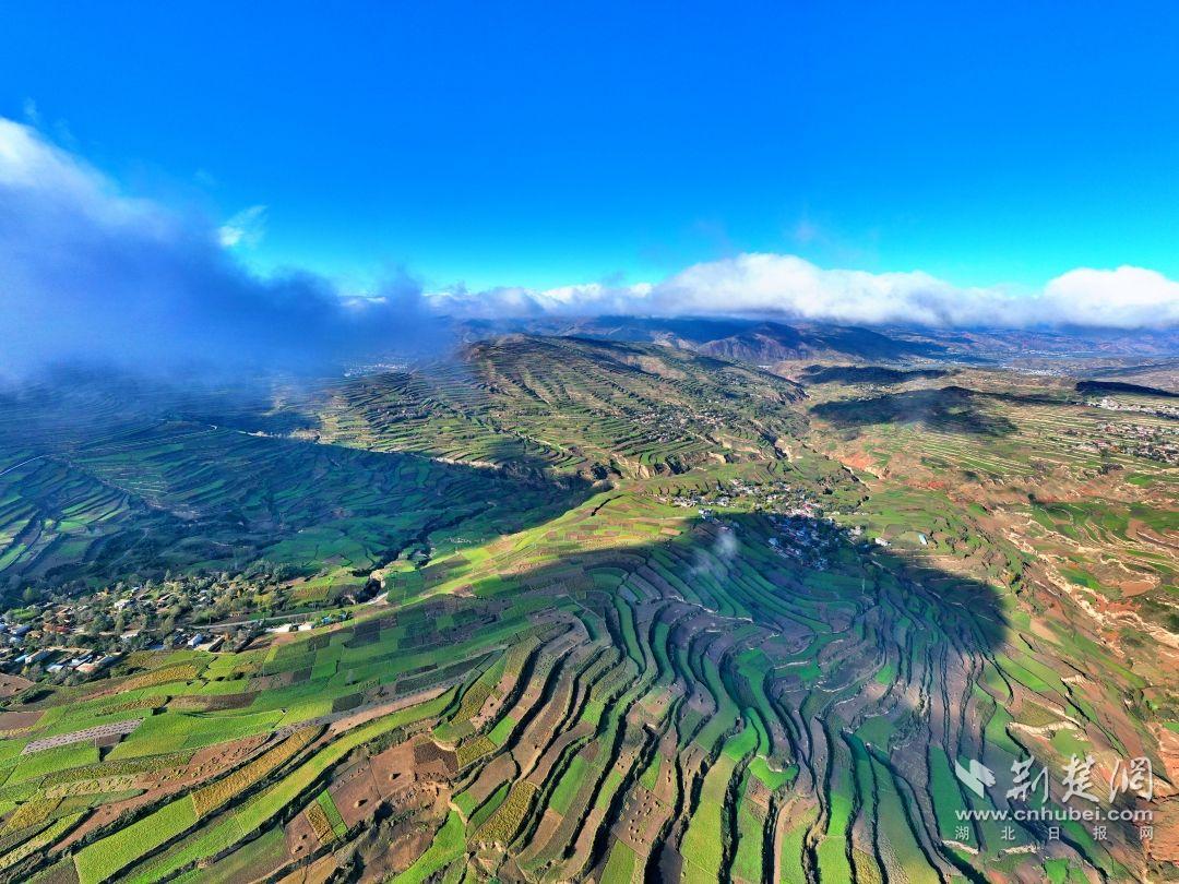 5-劲牌道地药材种植基地之一（甘肃岷县）.jpg.jpg