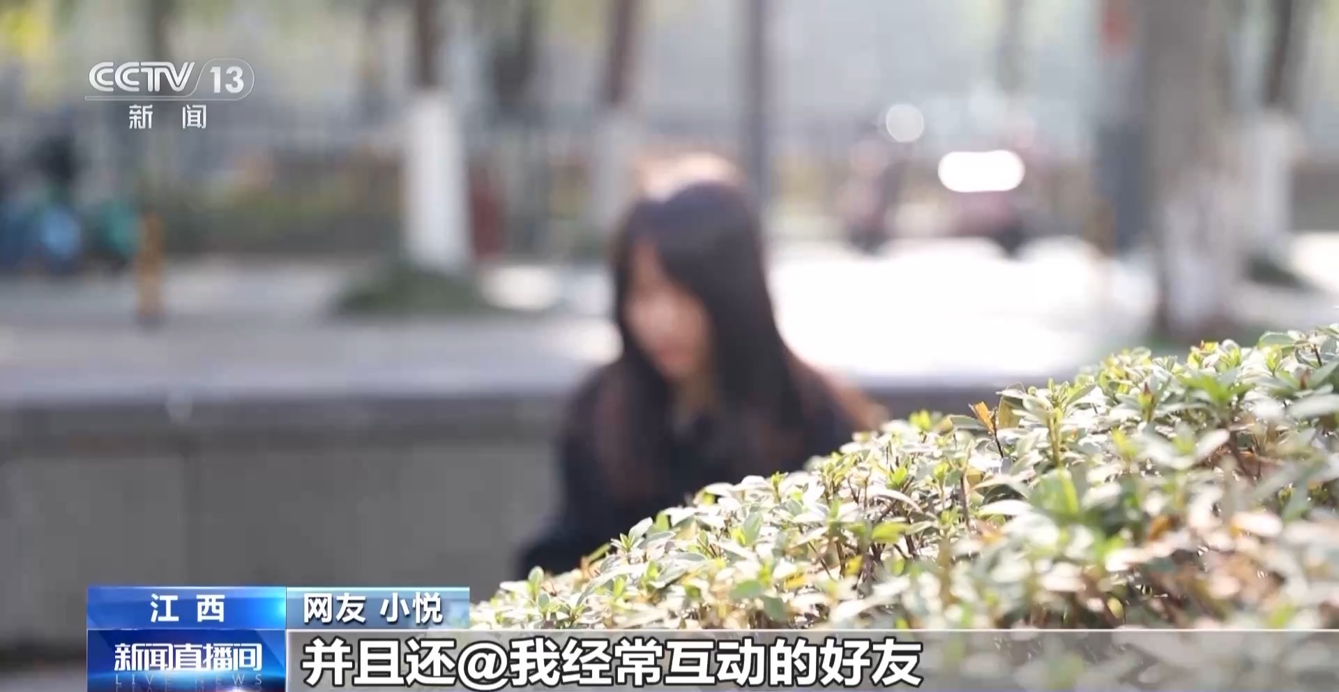 梦境中的甜蜜与禁忌，解析女生梦中与你共赴偷摘石榴桃子的寓意