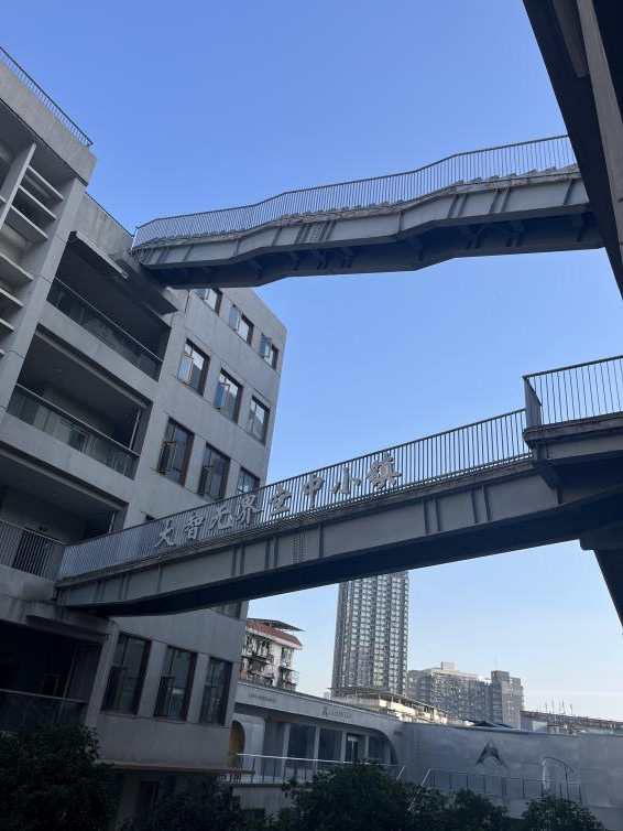 图片3.png.png