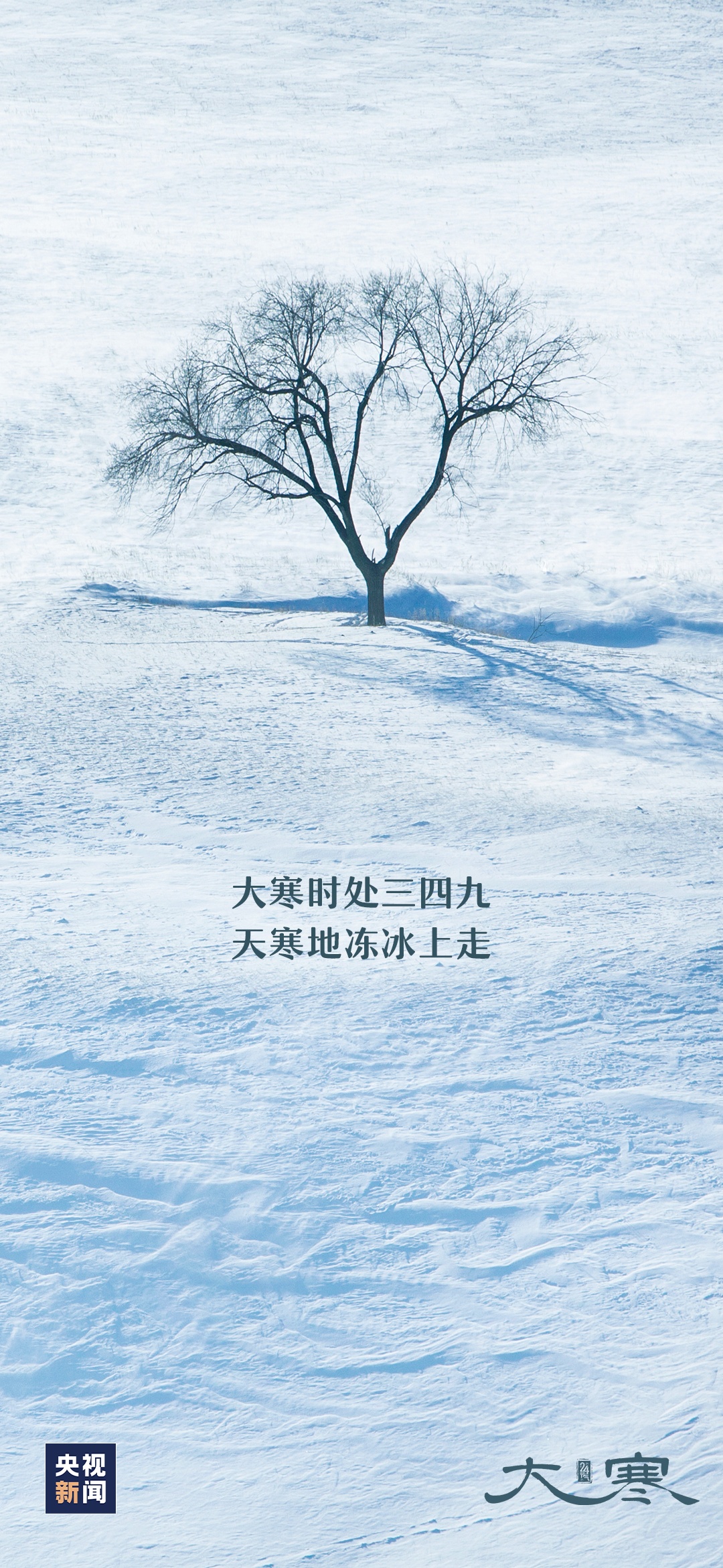 大寒至，待春归！冬天的句点是下一个春暖花开荆楚网湖北日报网