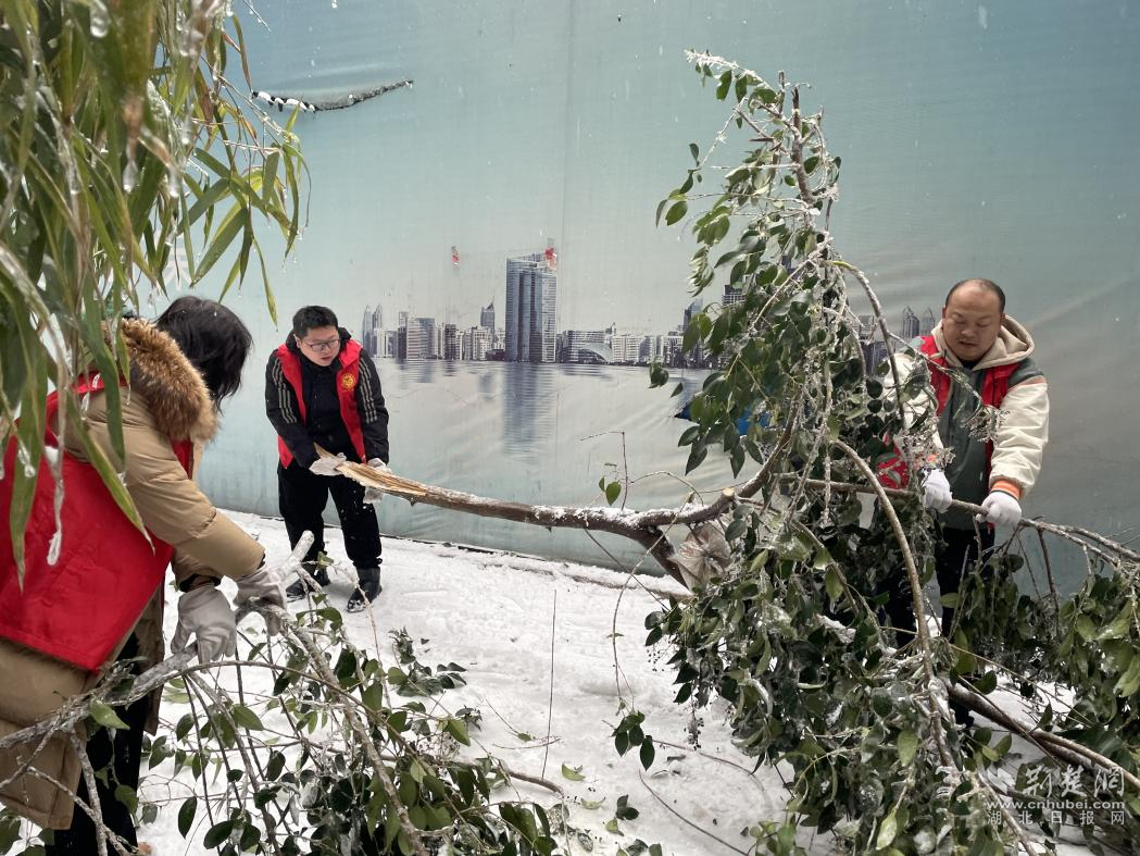 图片4.png.png