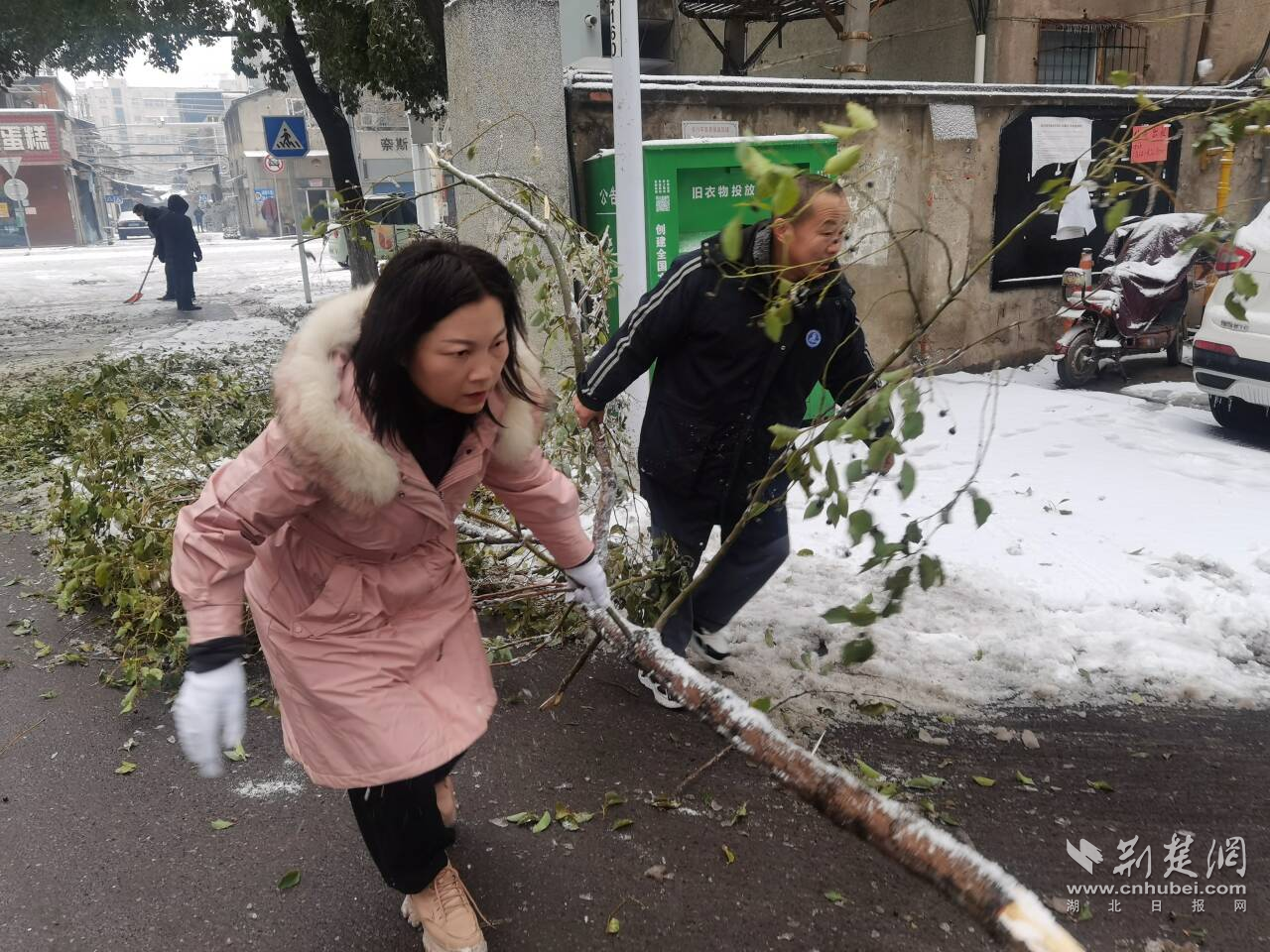 图片40.png.png