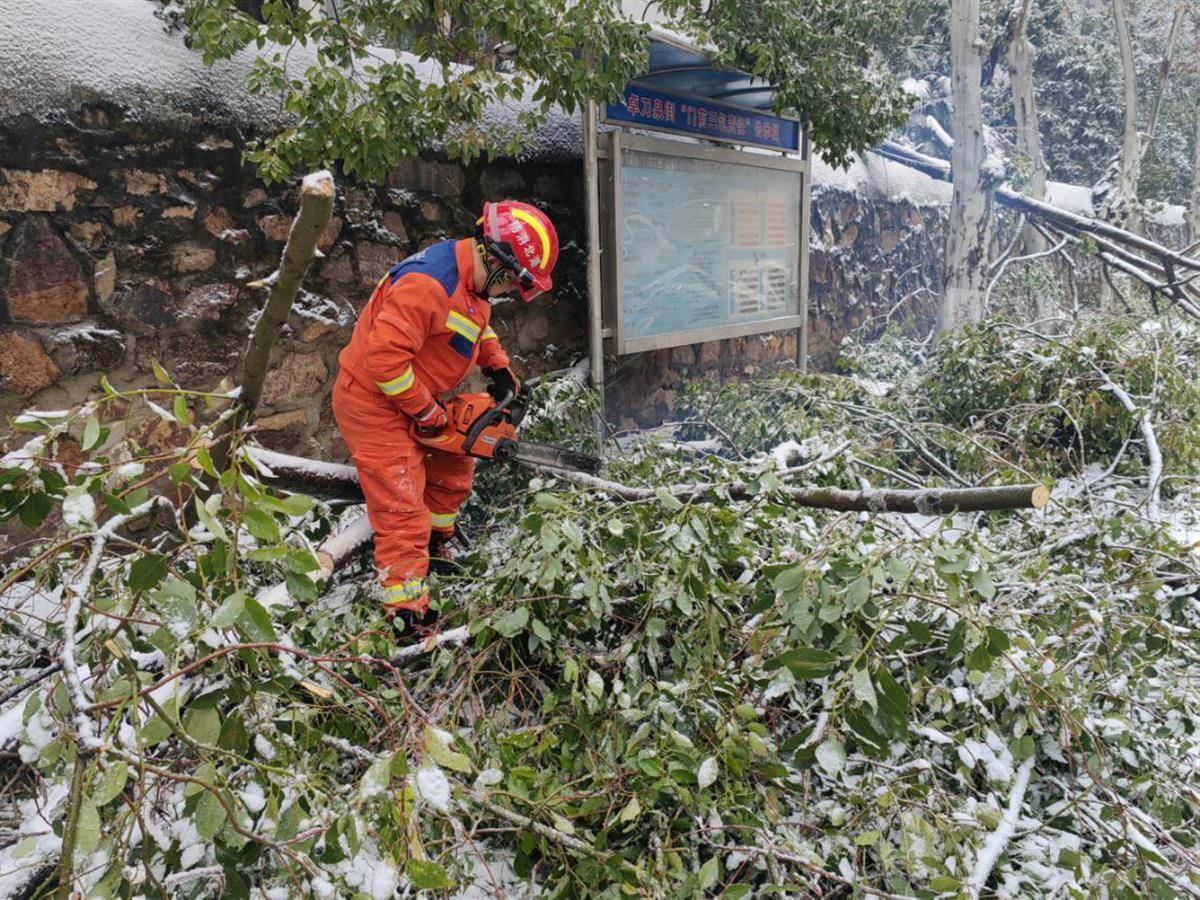 武汉千名消防员救援雨雪冰冻灾害事故