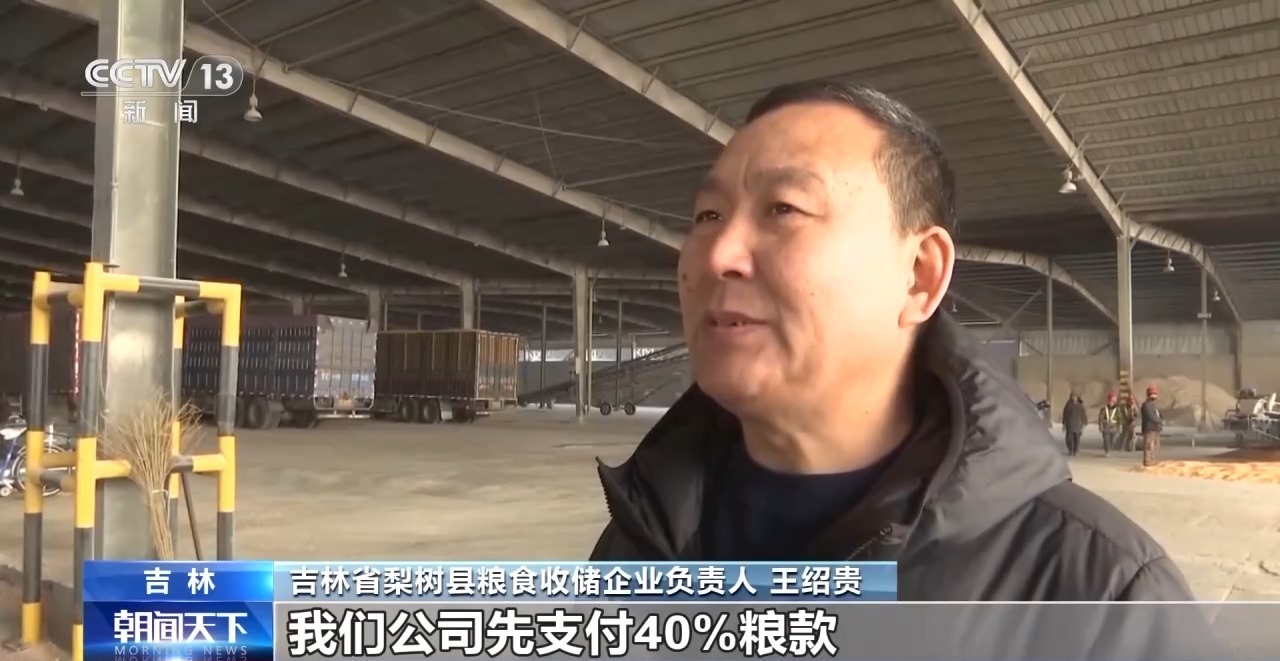 2023年秋粮收购进入高峰期 各地多举措保障粮农粮出手钱到手