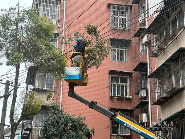 供电部门正在修建倒在高压线上的断枝.jpg.jpg