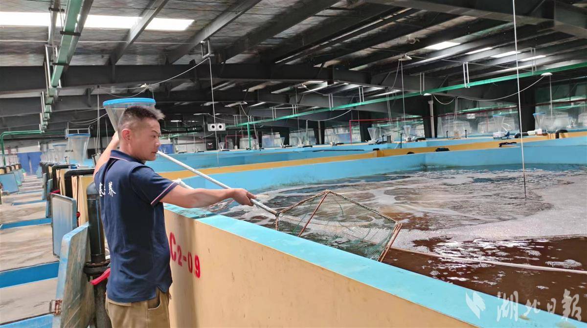 武汉绿色生态养殖面积达30万亩(图3)