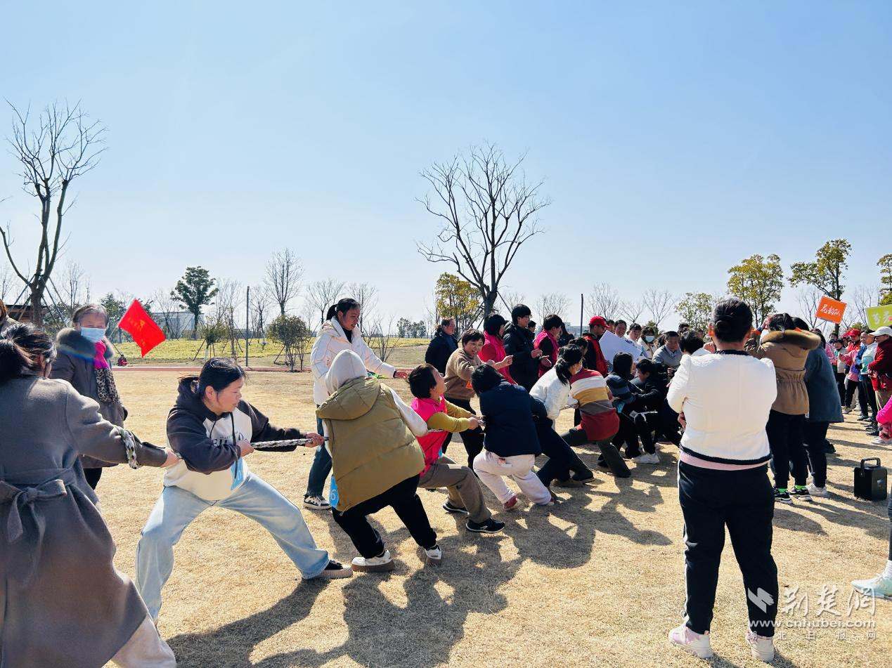 图片20.png.png