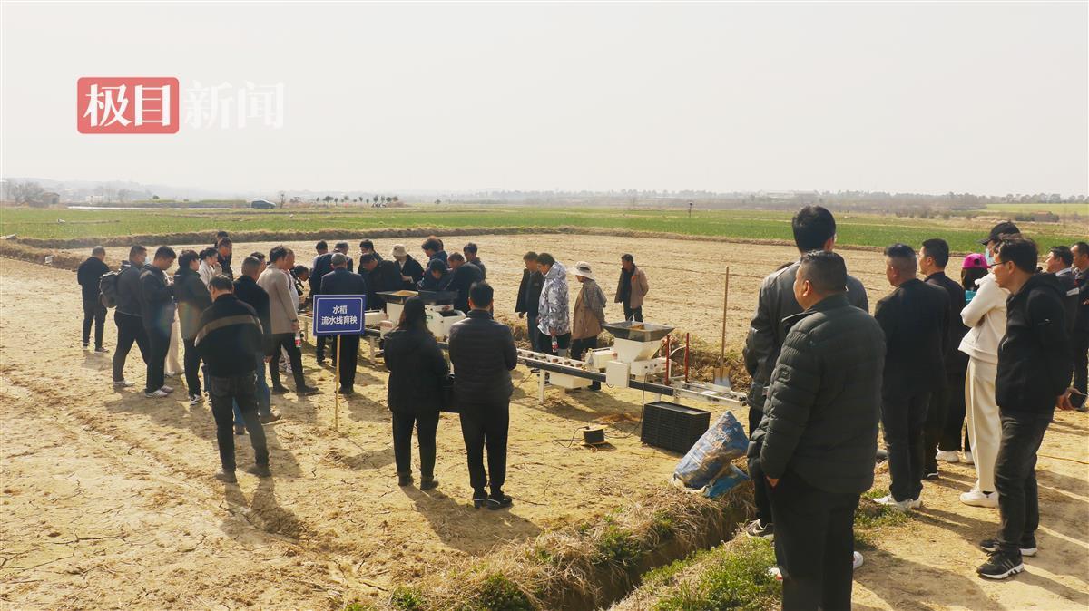 BOB半岛·(中国)官方网站武汉新型农机秀“尖板眼”为粮油单产提升开“处方”(图3)
