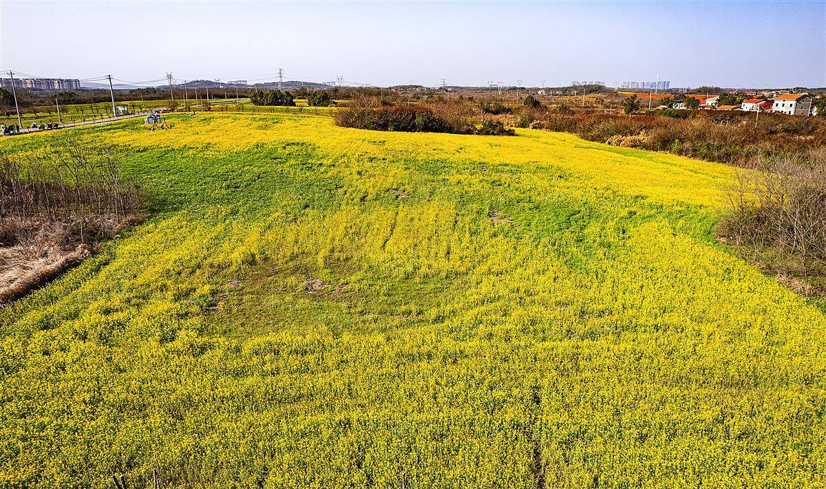 《星露穀物語》開辟者講新做開辟：先專注於1.6更新