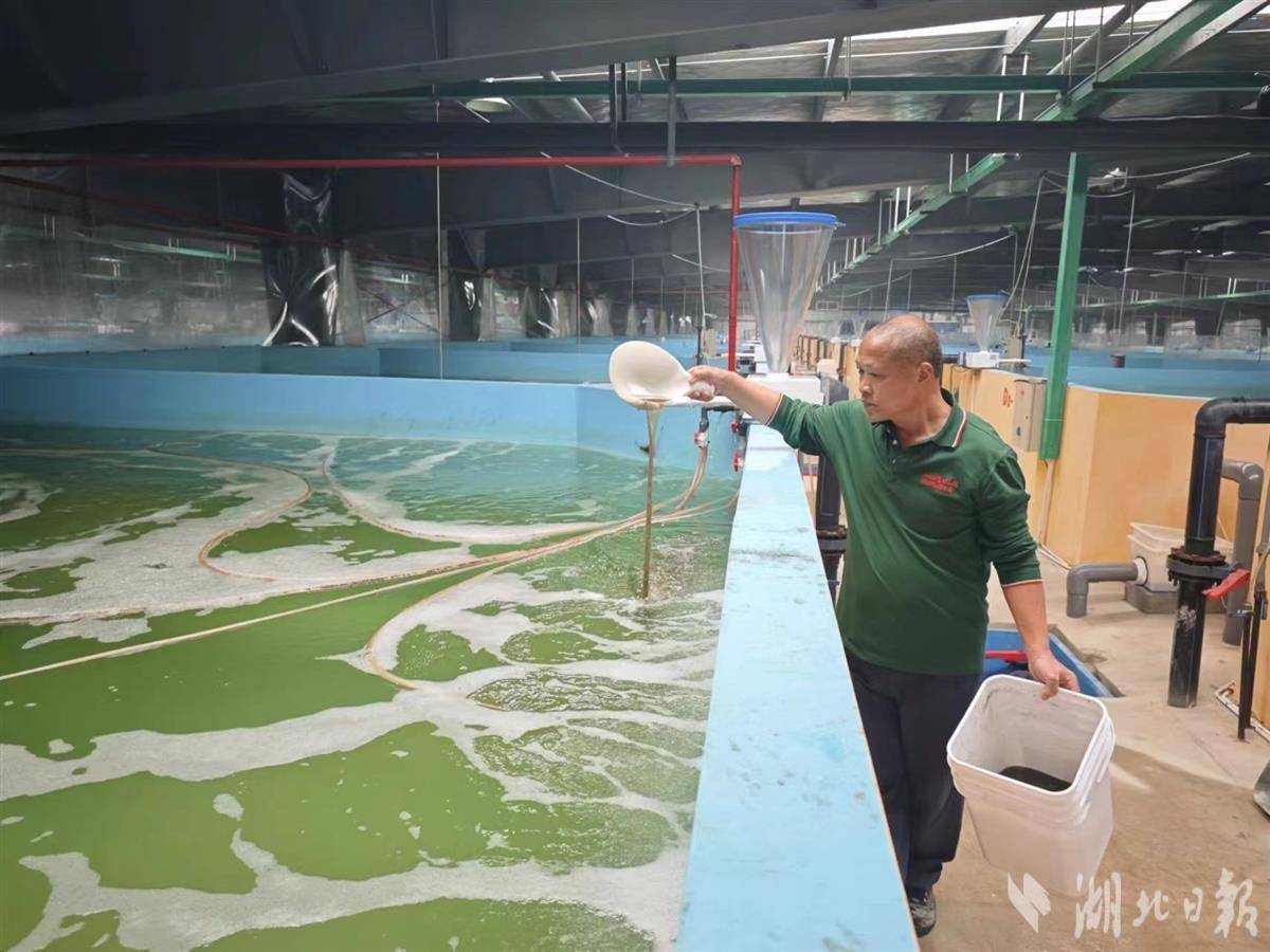 武汉绿色生态养殖面积达30万亩(图2)