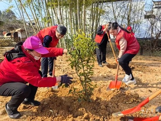 多米体育黄梅92个票决乡镇民生实事项目有关绿化的项目占了近三成(图3)