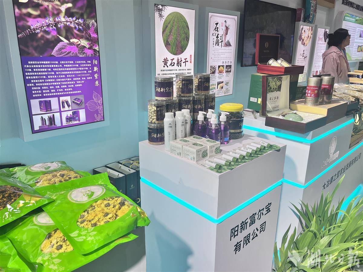 黄石展览展示
