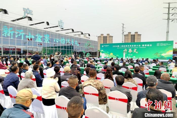 江苏新沂举办盆景贸易发展大会“美丽经济”助力产业振兴