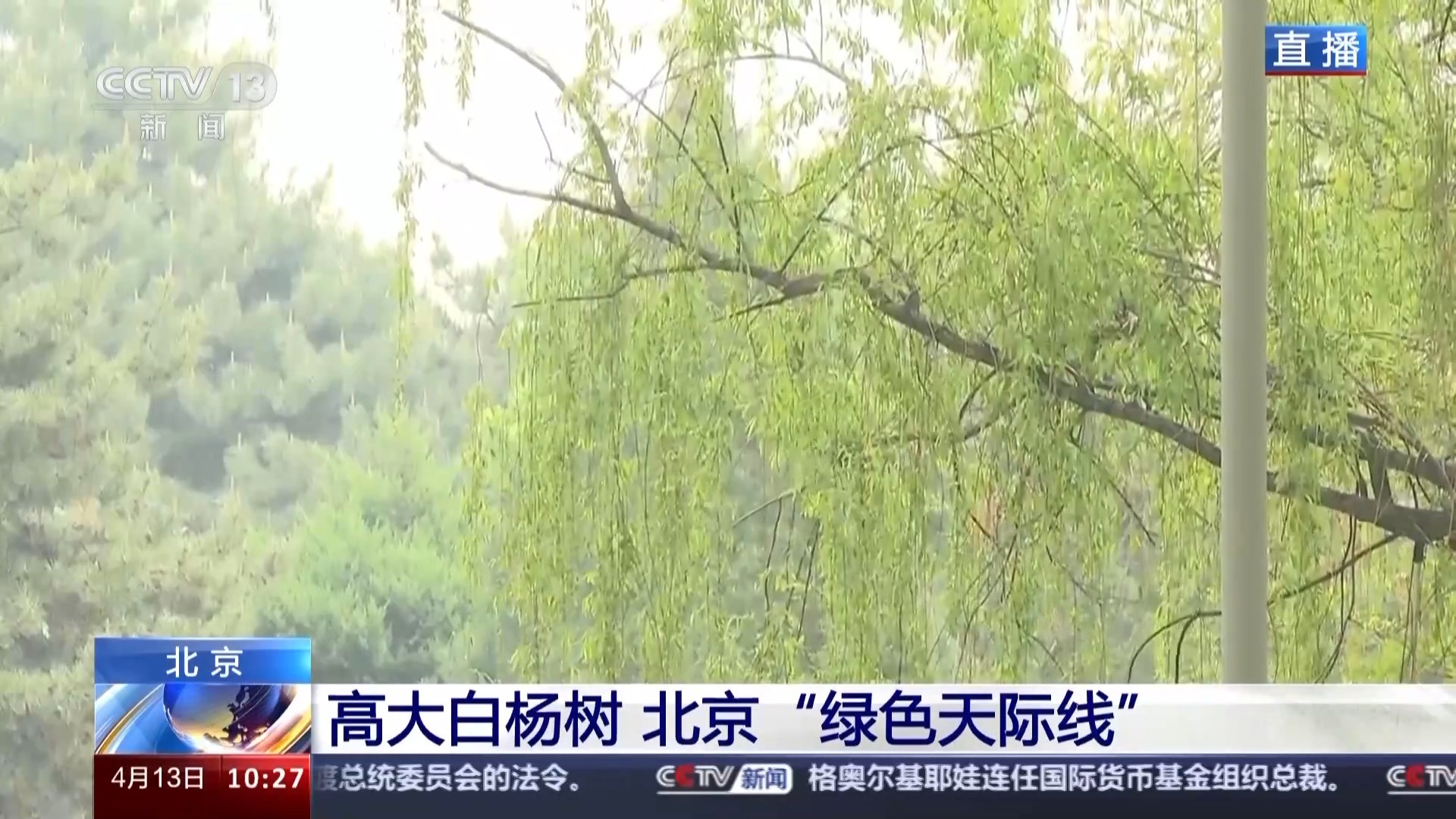 如何进入清风山 9dee7886ccee43f77a897eab899cfa3a.jpeg