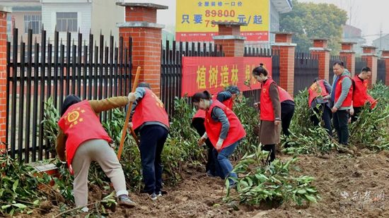 多米体育黄梅92个票决乡镇民生实事项目有关绿化的项目占了近三成(图2)